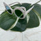 OCCHIALI MONNALISA 997036 7082 0099 MONNALISA 