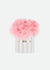 GONNA TUTU' BINKY FAIRY PINK ANGELS FACE 