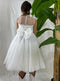 ABITO PIZZO E TULLE LUREX