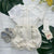 COMPLETO CAMICIA E SHORT 125-268 AVORIO## GRANLEI 