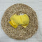 FASCIA IN FILO CON MAXI FIOCCO 50073010 GIALLO CONDOR 